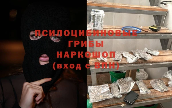 дмт Алексин