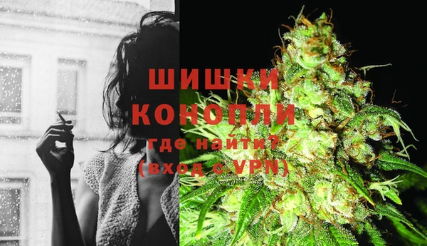 молекула духа Пестово