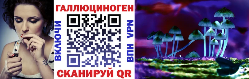 Псилоцибиновые грибы мицелий  как найти закладки  кракен онион  Сокол 