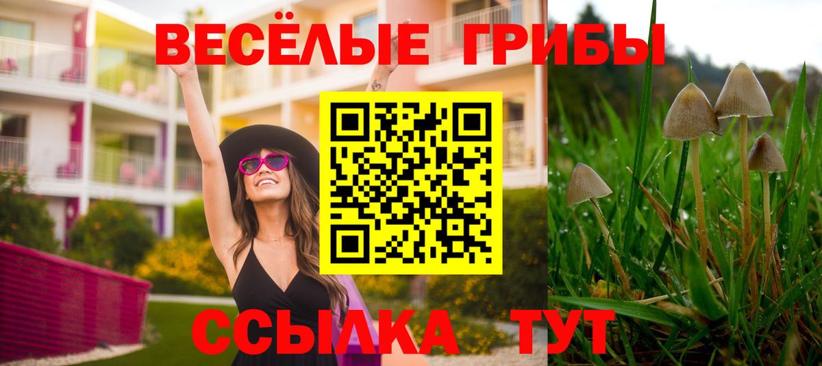Псилоцибиновые грибы MAGIC MUSHROOMS Сокол