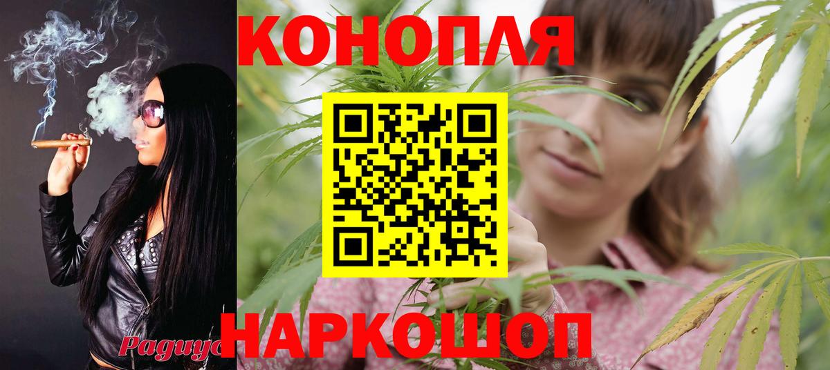 Бошки марихуана планчик  Марихуана SATIVA & INDICA  Конопля план  Вход с VPN  Сокол 